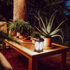 Patio Shield Mosquito Repeller Lantern XL