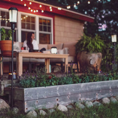 Patio Shield Mosquito Repeller Torch (Box)